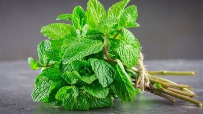 أضرار غير متوقعة لـ 