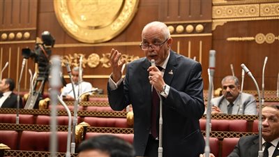 النائب حازم الجندي: انتخابات الشيوخ جسدت وعي الشعب المصري وأفشلت دعوات المقاطعة