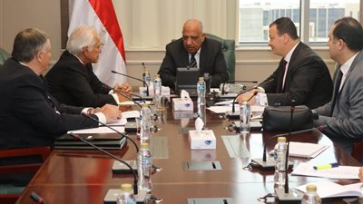 وزير الكهرباء يلتقي رئيس مجموعة 