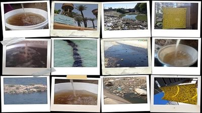 كارثة الذباب والمياه الملوثة تهدد صحة أسيوط 