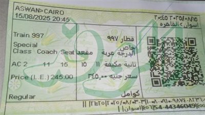 قطار 997 المخصوص يخرج من أسوان إلى القاهرة بدون كهرباء 