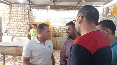 ضبط 10 أطنان هياكل دواجن فاسدة بكرداسة