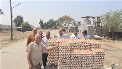 السكرتير العام المساعد يتفقد بدء إنتاج الدورة الجديدة لبيض المائدة 