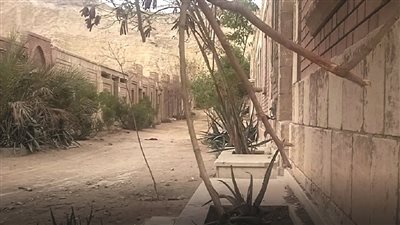 معركة البقاء بين الأموات