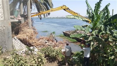 إزالة التعديات على أراضي الدولة بأسيوط مستمرة بقوة