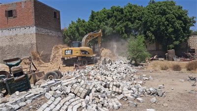 أسيوط: إزالة 32 حالة تعدي على أراضي زراعية وأملاك دولة