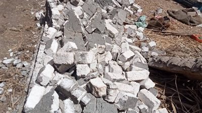 تنفيذ 533 قرار إزالة علي أملاك الدولة بالدقهلية 