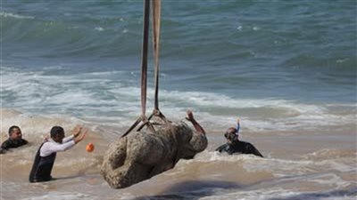 نقل القطع الآثرية الغارقة للمتحف اليونانى الرومانى بالإسكندرية 