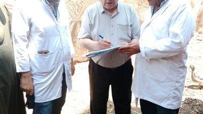 تحصين 45317 رأس ماشية في الحملة القومية للتحصين ضد الحمى القلاعية بالدقهلية 