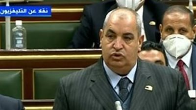 برلماني: مصر تمتلك فرصًا كبيرة لتطوير صناعة الزبيب والكتان (فيديو)