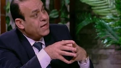 خبير: اليابان تنظر إلى مصر باعتبارها مركزًا محوريًا للوصول إلى الأسواق الأفريقية