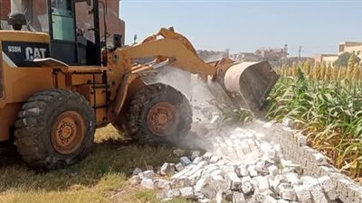 إزالة 518 حالة تعدٍ على الأراضي وأملاك الدولة بالمنيا 