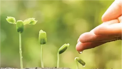 الأعمال الصالحة.. استثمار رباني يغيّر مجرى حياتك قبل آخرتك