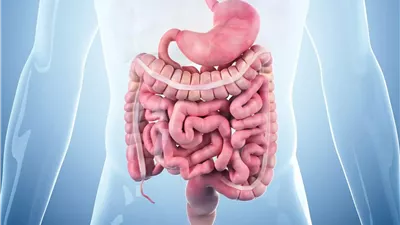 لماذا تؤثر صحة معدتك على مزاجك؟.. طبيبة تكشف السر