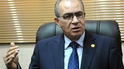 برلماني: تمكين الشباب شجع فئات أكبر من المواطنين على التفاعل مع الحياة السياسية