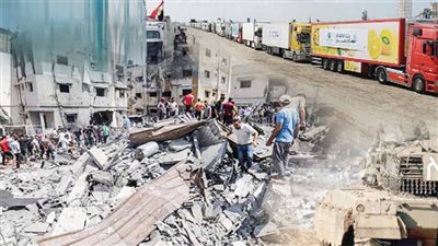 مصر فى ضهر لفلسطين