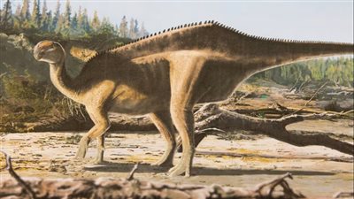 اكتشاف نوع جديد من الديناصورات بشراع على ظهرها 