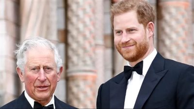 لفتة خفية من الأمير هاري تفتح نافذة أمل نحو 