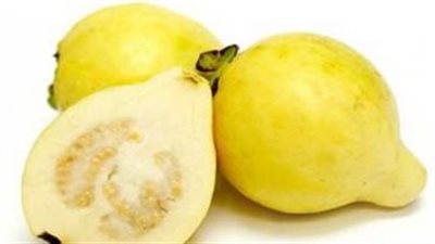 الأمثل للدايت| فوائد الجوافة المذهلة لصحة جسمك