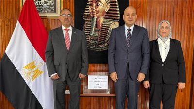 انتخابات الشيوخ جولة الإعادة.. انتظام الاقتراع في 7 دول بأمريكا الشمالية والجنوبية