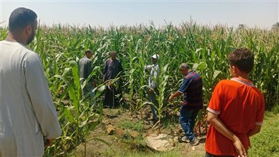 محافظ أسيوط: ترشيد المياه أولوية لتحقيق تنمية زراعية شاملة