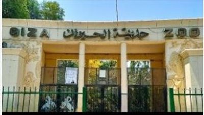 التحالف الوطني يوضح حقيقة إعدام الأسود والنمور داخل حديقة الحيوان بالجيزة