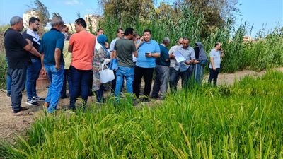 محافظ الدقهلية: لجنة فنية للمرور  على مواقع انشاء للمشروعات الاستثمارية