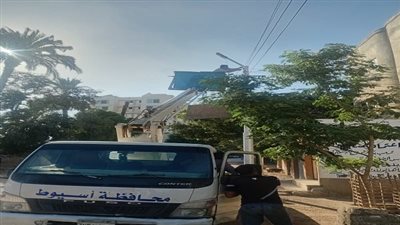 محافظ أسيوط يشدد على تطوير إنارة الشوارع لتعزيز الأمان وحركة المواطنين