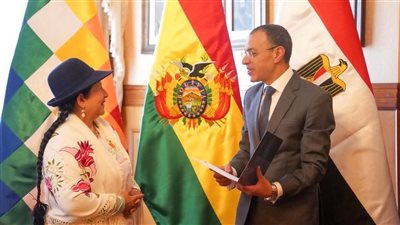 تفاصيل لقاء السفير المصري في لاباز مع وزيرة الخارجية البوليفية