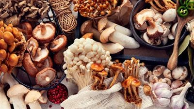 ليس الشمس فقط.. نباتات غنية بفيتامين D لجسم صحي