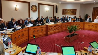 انعقاد اللجنة الدائمة لمتابعة العلاقات المصرية الإفريقية.. وإطلاق مبادرات تنموية ومشاريع