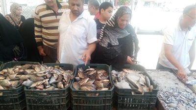 محافظ الدقهلية يتفقد سوق اليوم الواحد بالمنصورة 