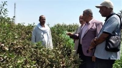 محافظ أسيوط يشدد على التثقيف الزراعي لرفع جودة المحاصيل والإنتاجية