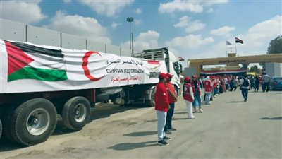 كندا تشيد بجهود مصر لاستقرار المنطقة 