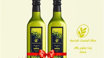 مصر الأولى عالميًا في إنتاج الزيتون .. وتحذير من زيوت مغشوشة على السوشيال ميديا