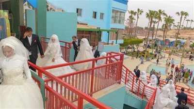 استمرار مشروع دعم اليتيمات.. زفاف 7 عرائس بالشرقية