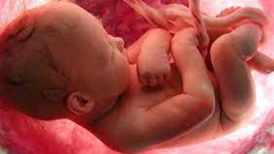 نتائج صادمة.. ميكروبات الأمهات تبني أدمغة الأطفال داخل الرحم