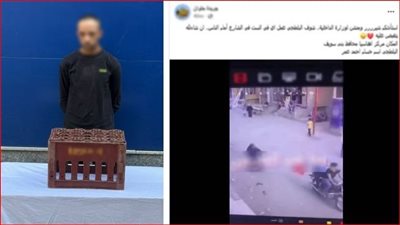 عاطل يعتدي على سيدة مسنة ويضربها بصندوق في بني سويف 