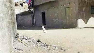 أسيوط.. مقابر «الزرابى» ملاذاً للخارجين على القانون 