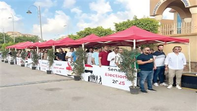 «الكتائب الإلكترونية» تقود الحملات الانتخابية