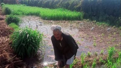 من كفر شكر إلى أسوان.. صرخة الفلاح المصري في عيده بين الغلاء والعطش