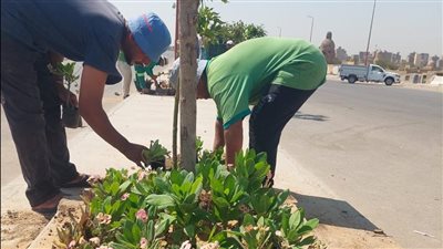 خطة حكومية لتعزيز جودة الهواء في مواجهة التغيرات المناخية بالمحافظات