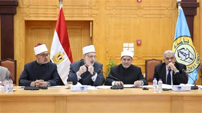 محو الأمية.. قصة عقد من التنوير المصري بالتعاون مع الأزهر والأوقاف 