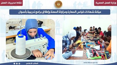 ميكنة شهادات قياس المهارة ومزاولة المهنة وإطلاق برامج تدريبية بأسوان
