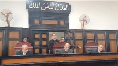 جنايات أسيوط تعاقب سائق الشابو بالسجن المشدد