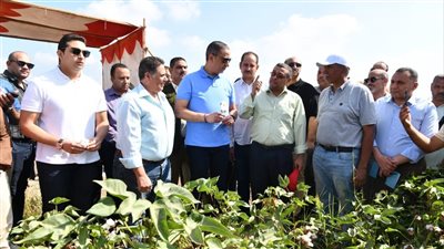 محافظ الفيوم يفتتح موسم جني القطن بقرية رحمي