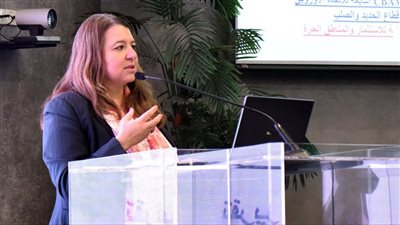 هيئة الاستثمار : قطاع الحديد والصلب الاكثر تأثرا بتعديل حدود الكربون