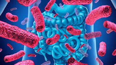 احذر.. بكتيريا الأمعاء قد تكون السبب وراء تأخر نمو الأطفال