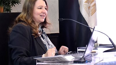 هيئة الاستثمار تبحث تطوير مصانع الأسمدة لتتوافق مع تعديل حدود الكربون CBAM 