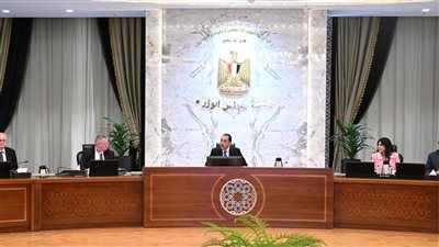 رئيس الوزراء يستقبل نائب رئيس الوزراء الروسي والوفد المرافق له